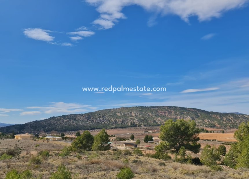 Revente - Parcelle -
Pinoso - Inland