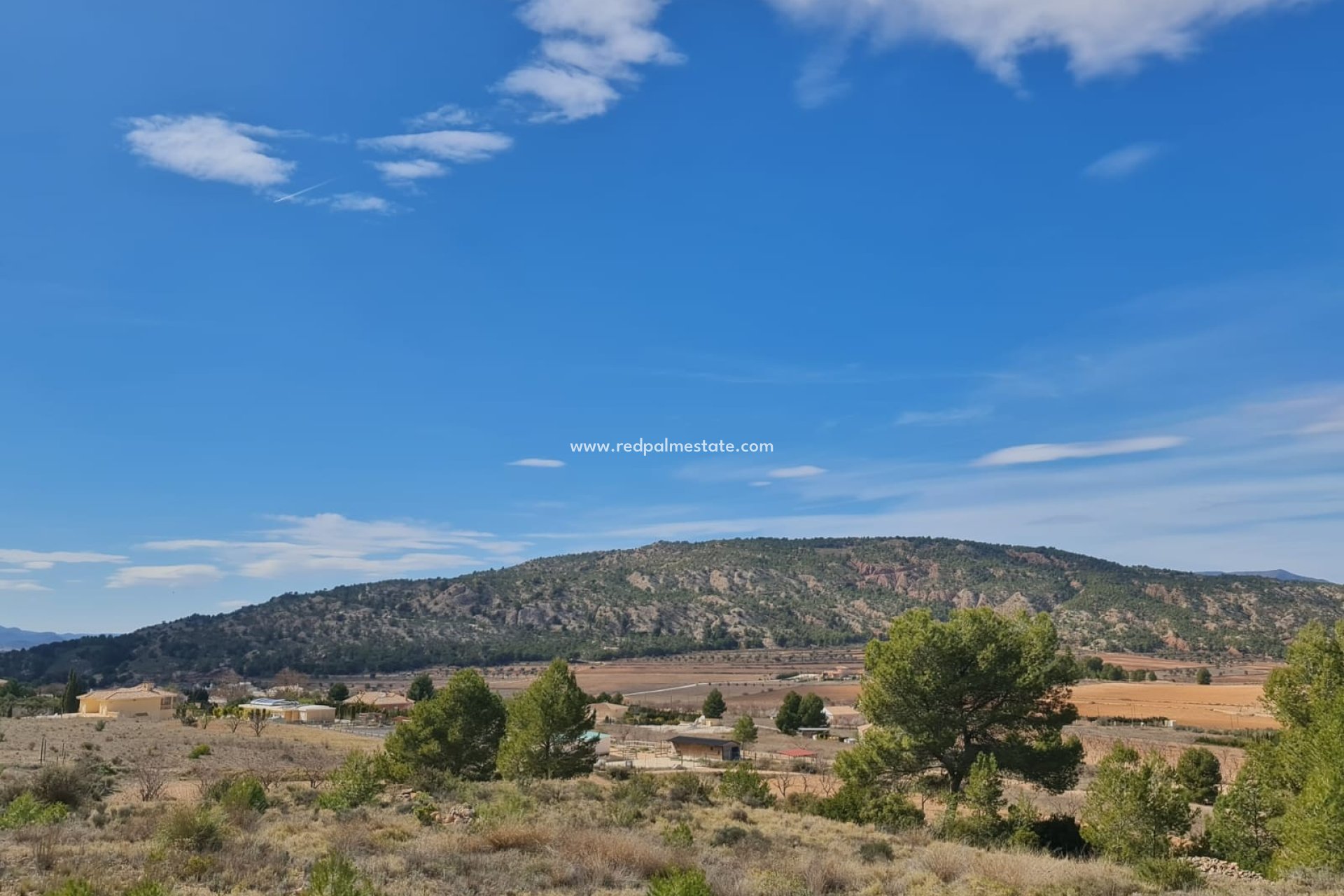 Revente - Parcelle -
Pinoso - Inland