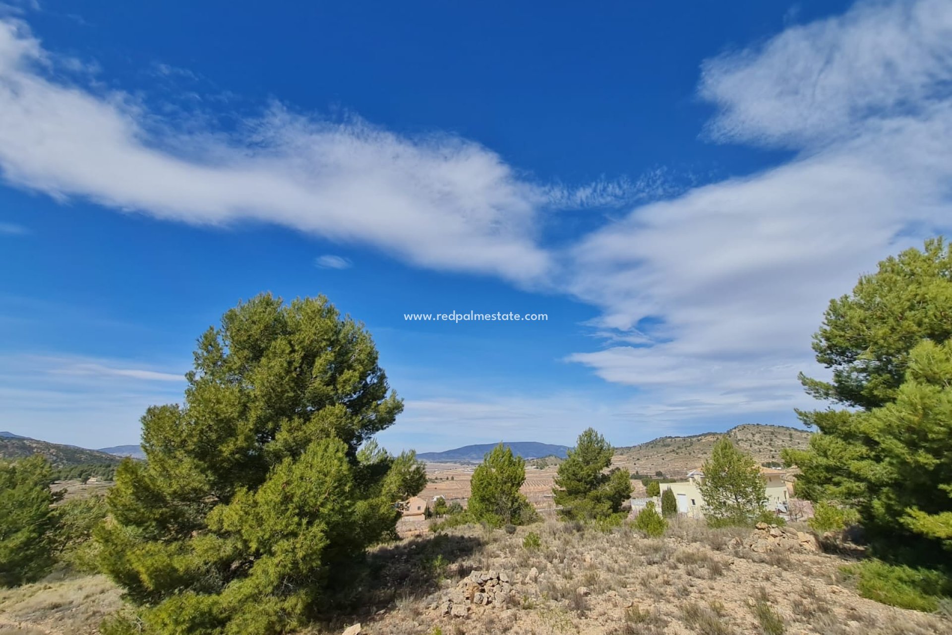 Revente - Parcelle -
Pinoso - Inland