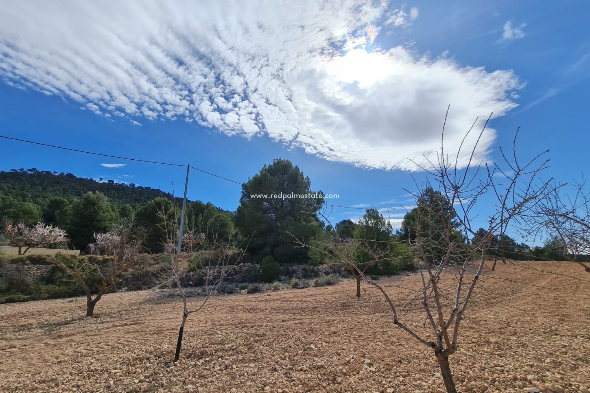Revente - Parcelle -
Pinoso - Inland