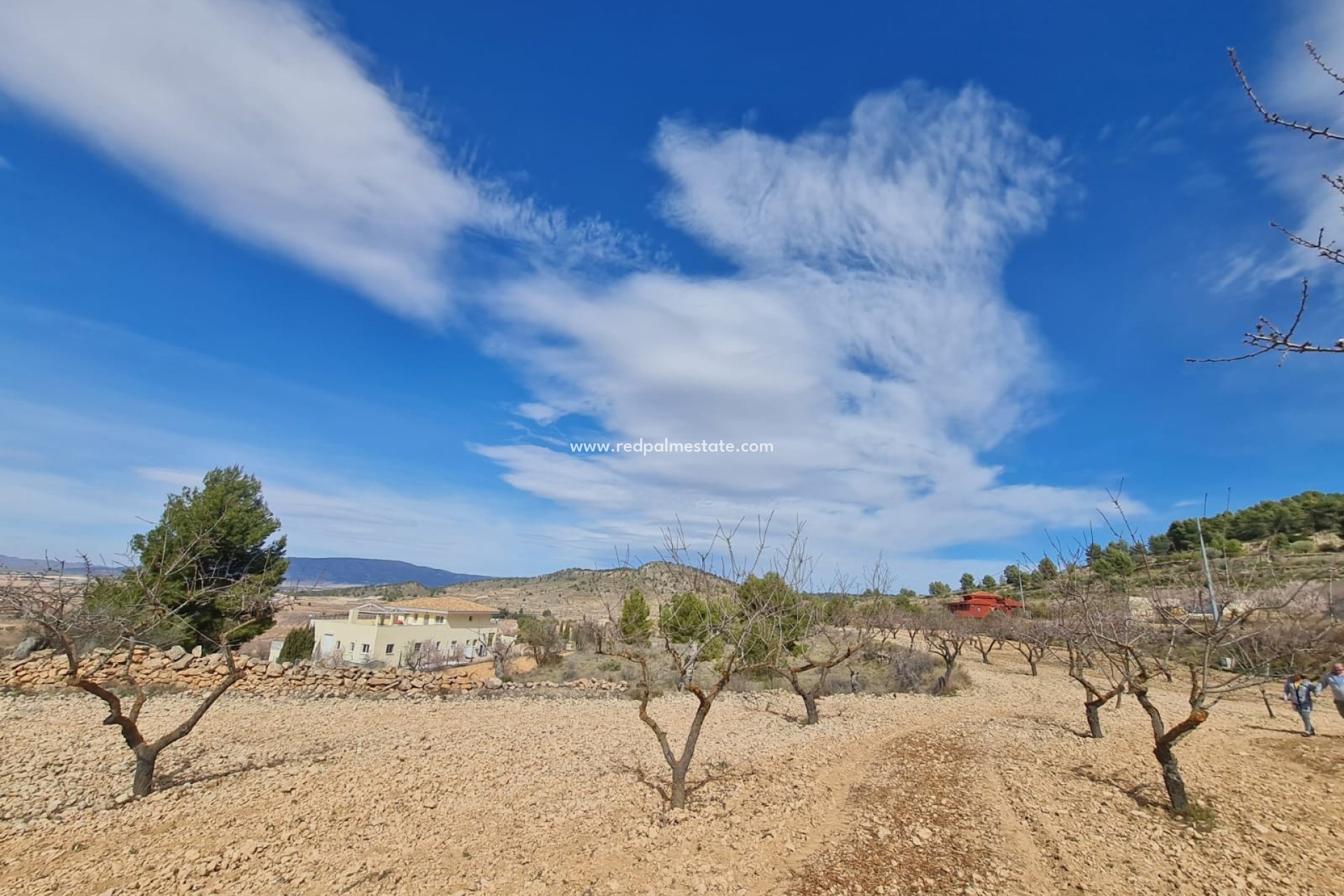 Revente - Parcelle -
Pinoso - Inland