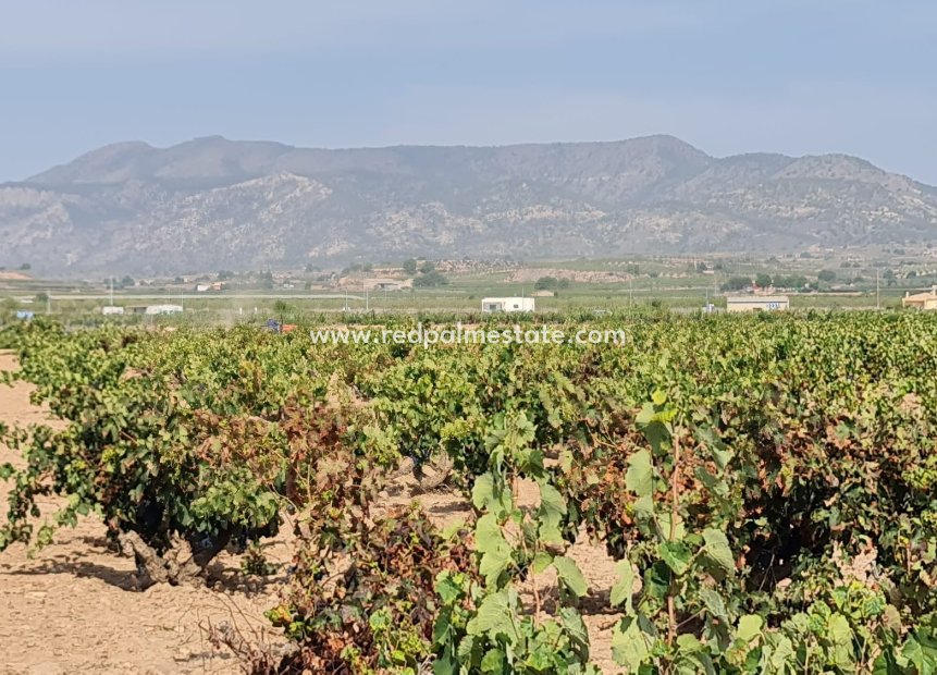 Revente - Parcelle -
Pinoso - Inland