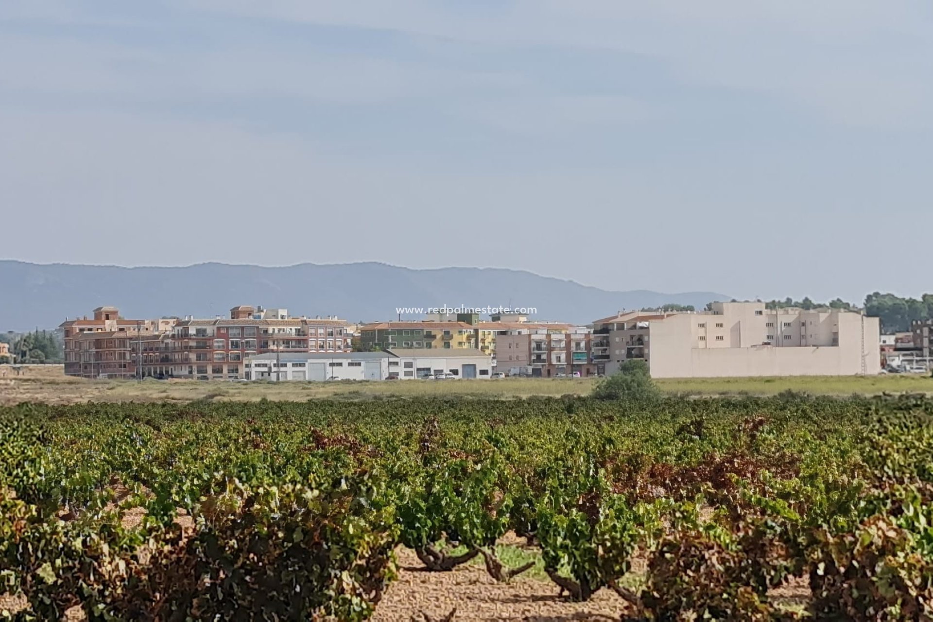 Revente - Parcelle -
Pinoso - Inland