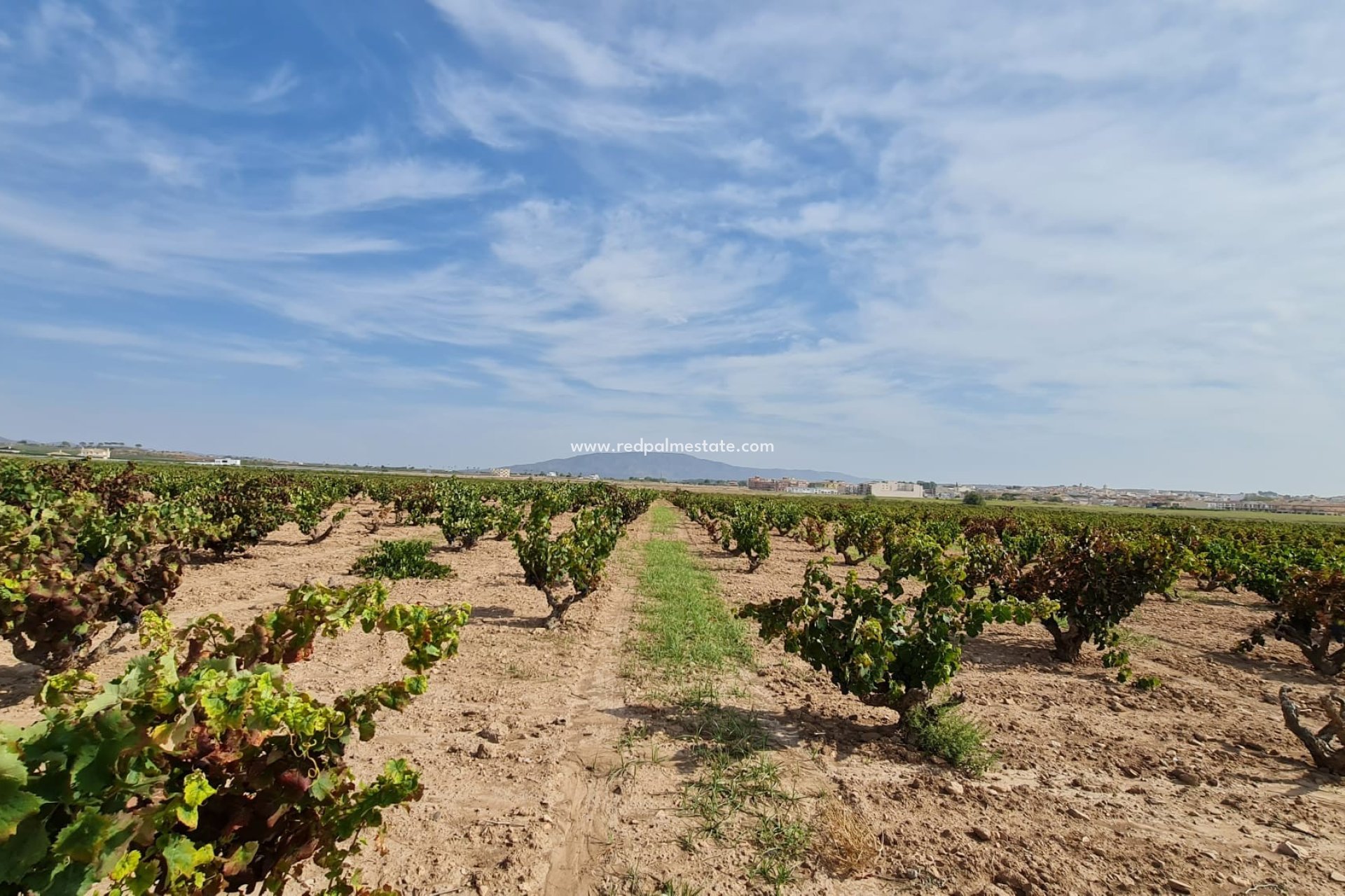 Revente - Parcelle -
Pinoso - Inland