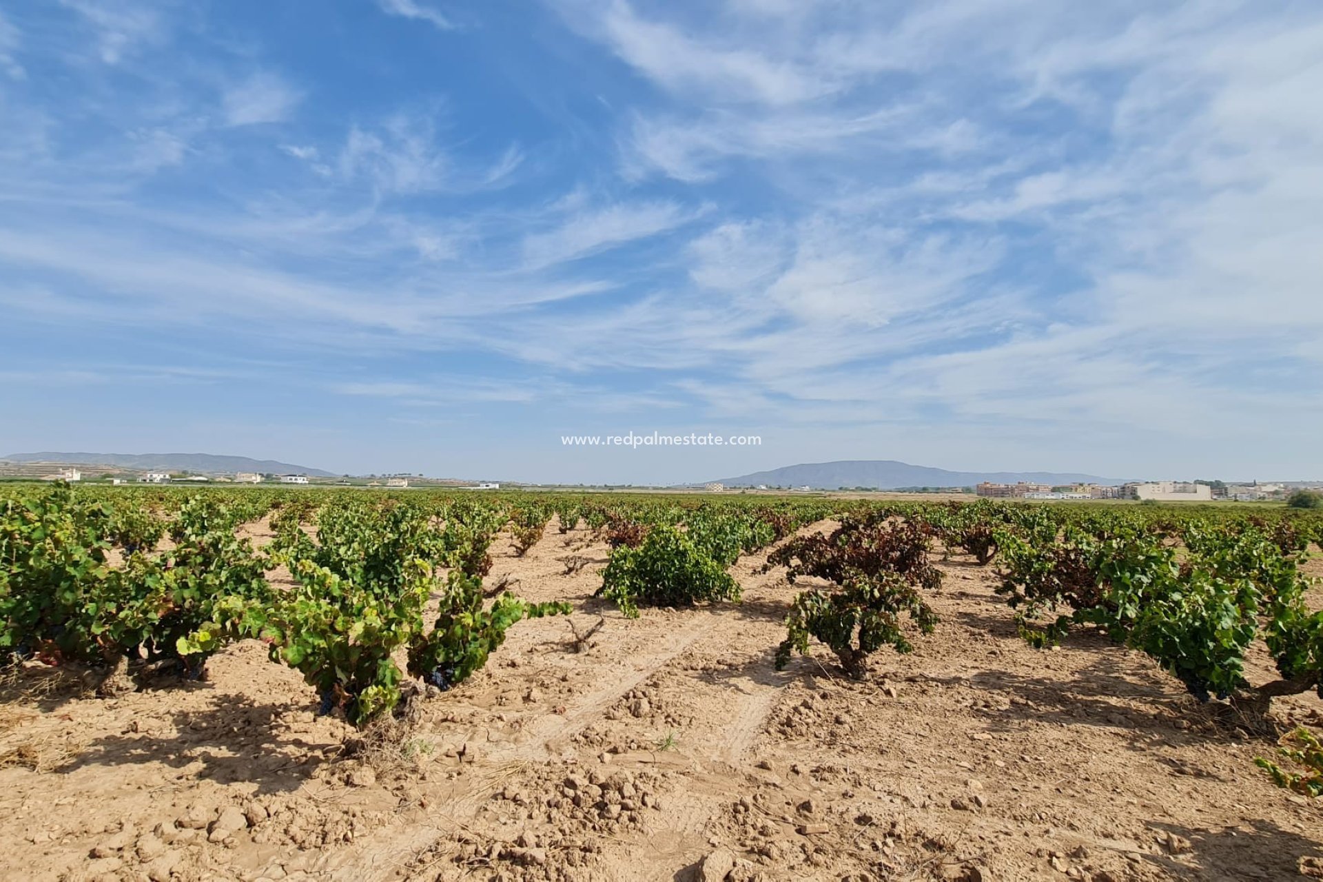 Revente - Parcelle -
Pinoso - Inland