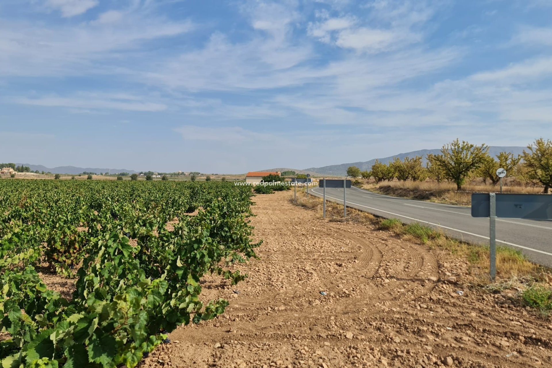 Revente - Parcelle -
Pinoso - Inland