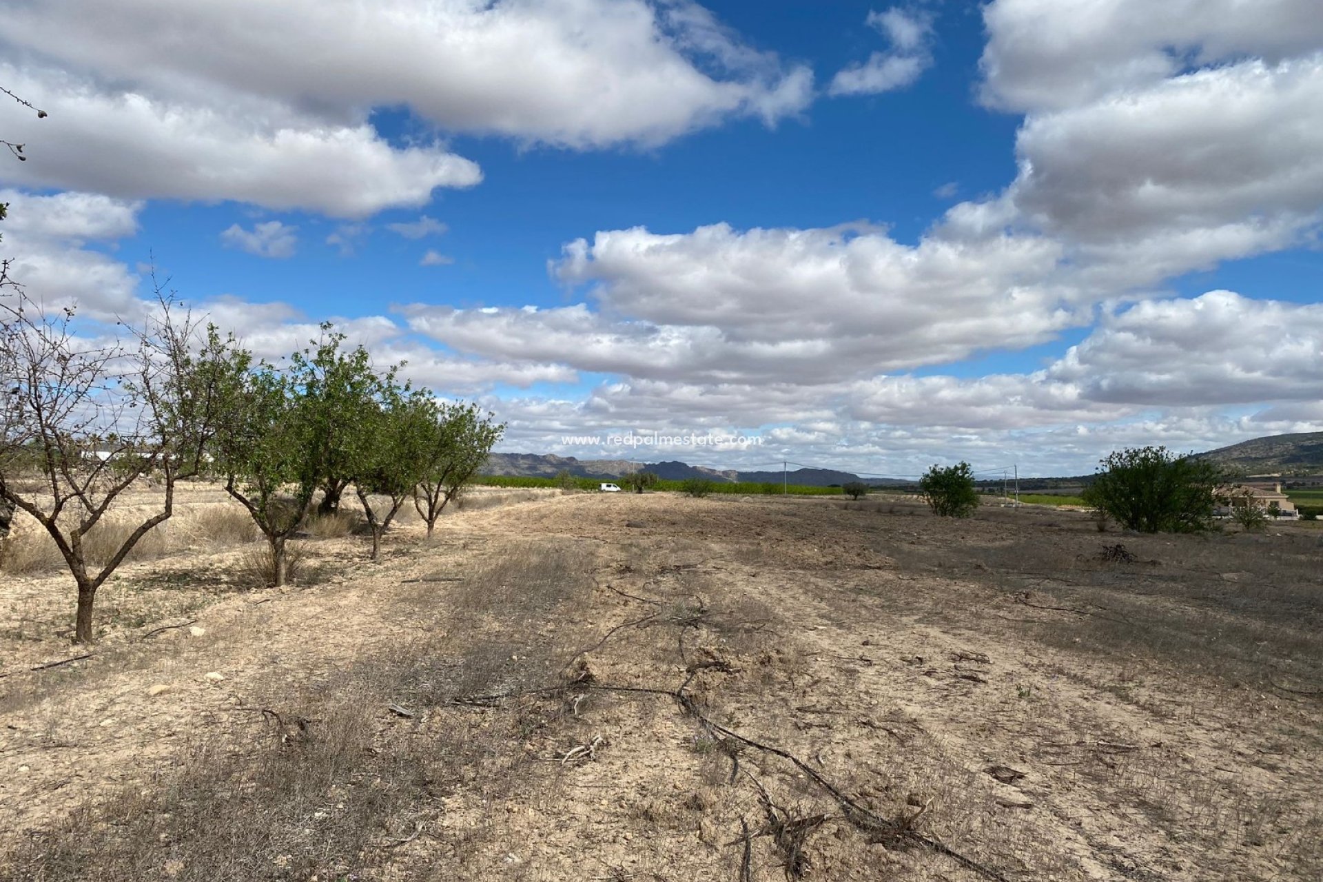 Revente - Parcelle -
Pinoso - Inland
