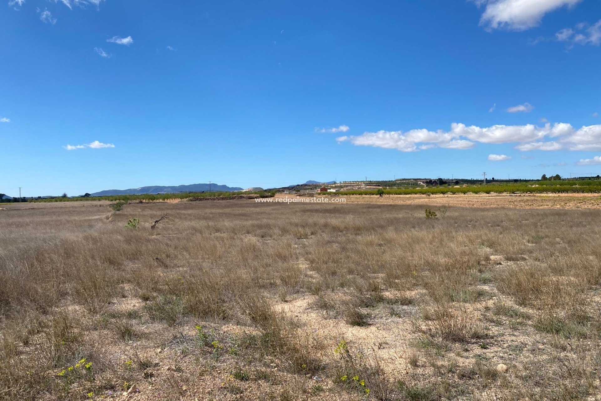 Revente - Parcelle -
Pinoso - Inland