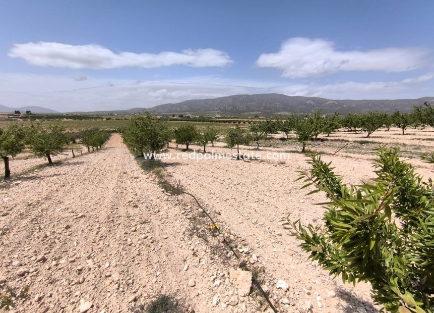 Revente - Parcelle -
Pinoso - Inland