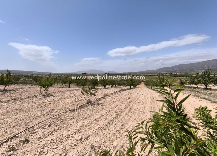 Revente - Parcelle -
Pinoso - Inland