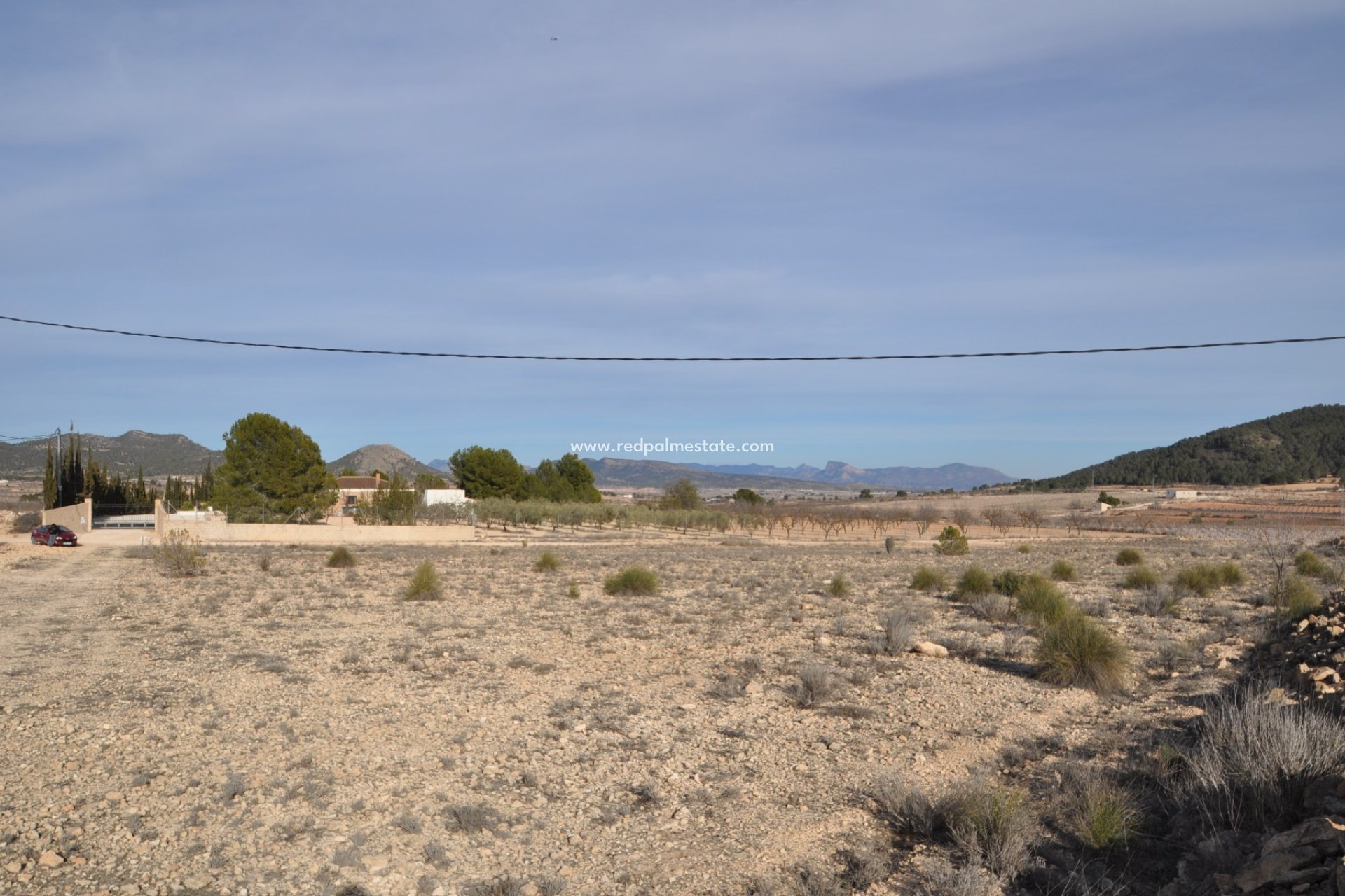 Revente - Parcelle -
Pinoso - Inland