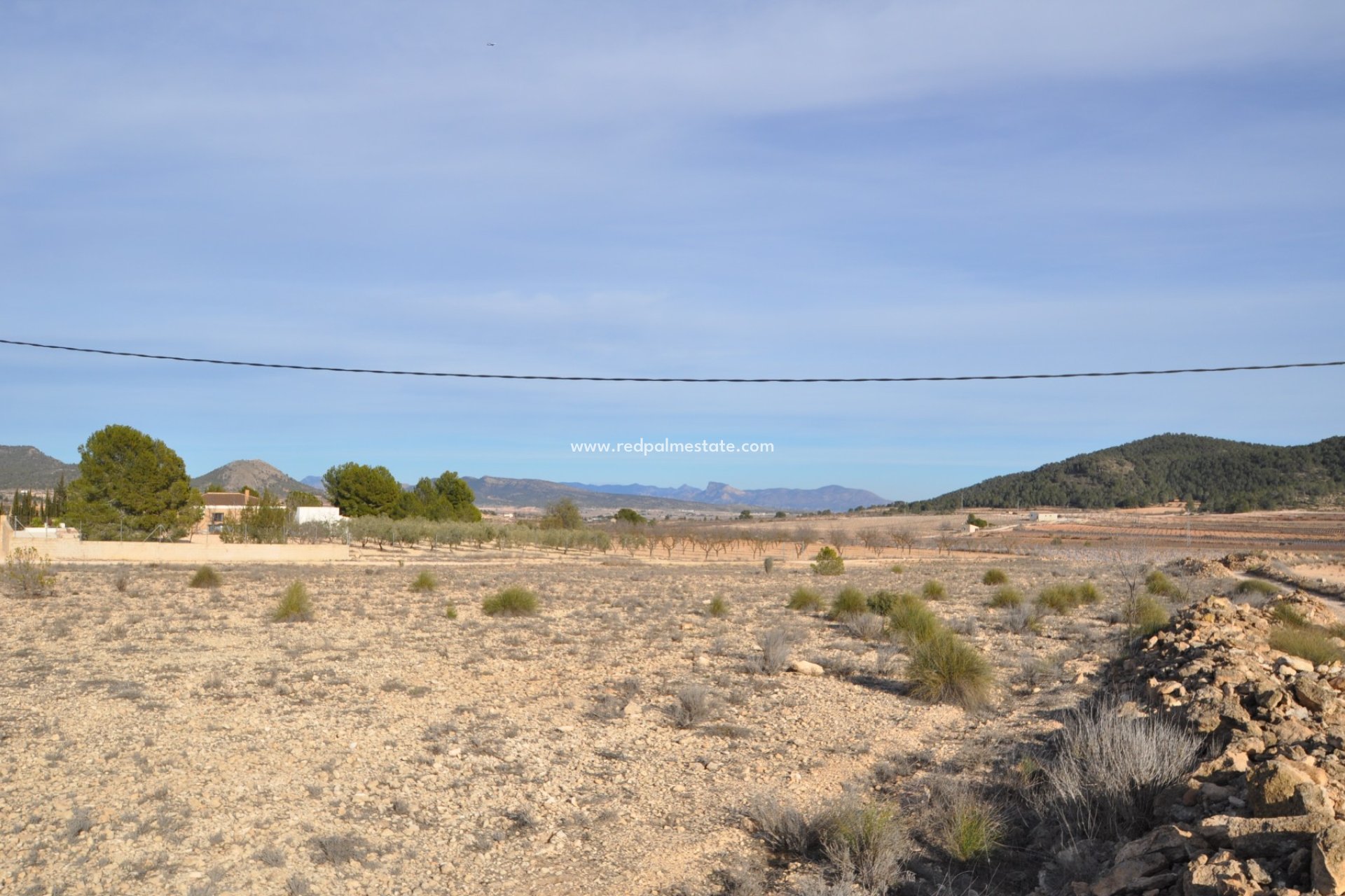 Revente - Parcelle -
Pinoso - Inland