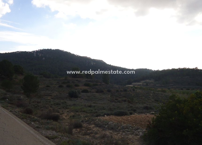 Revente - Parcelle -
Pinoso - Inland