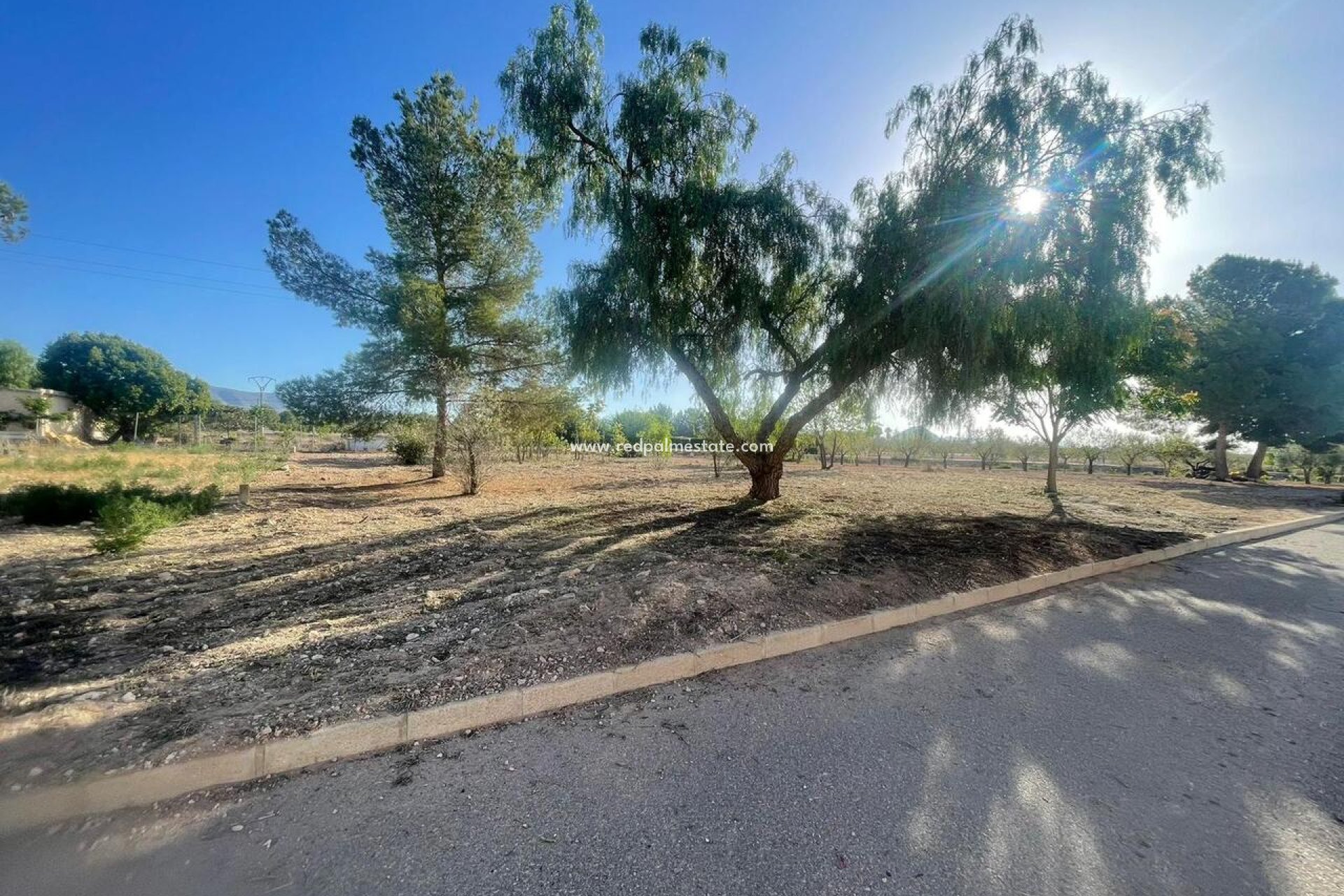 Revente - Parcelle -
Pinoso - Inland