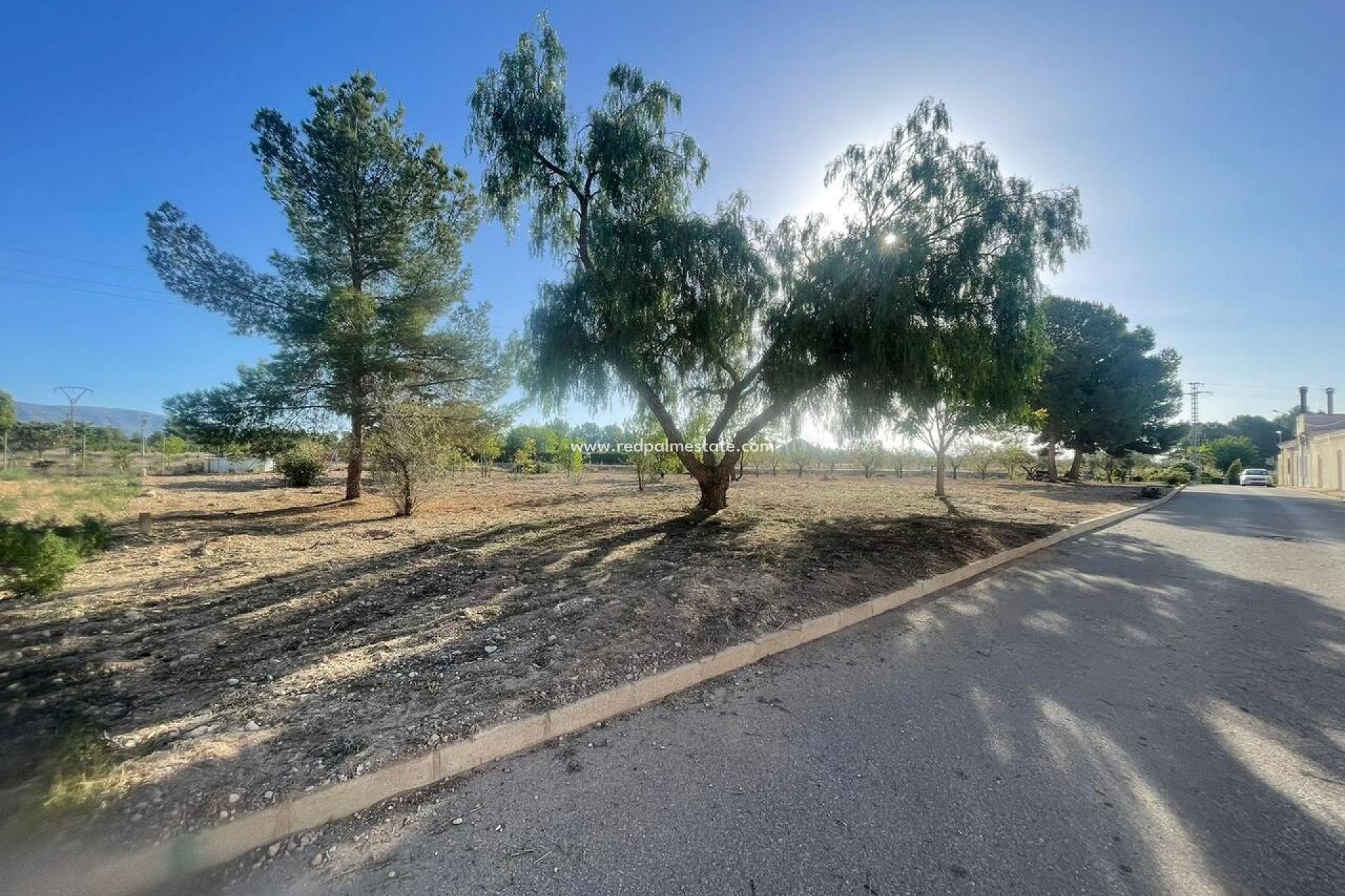 Revente - Parcelle -
Pinoso - Inland