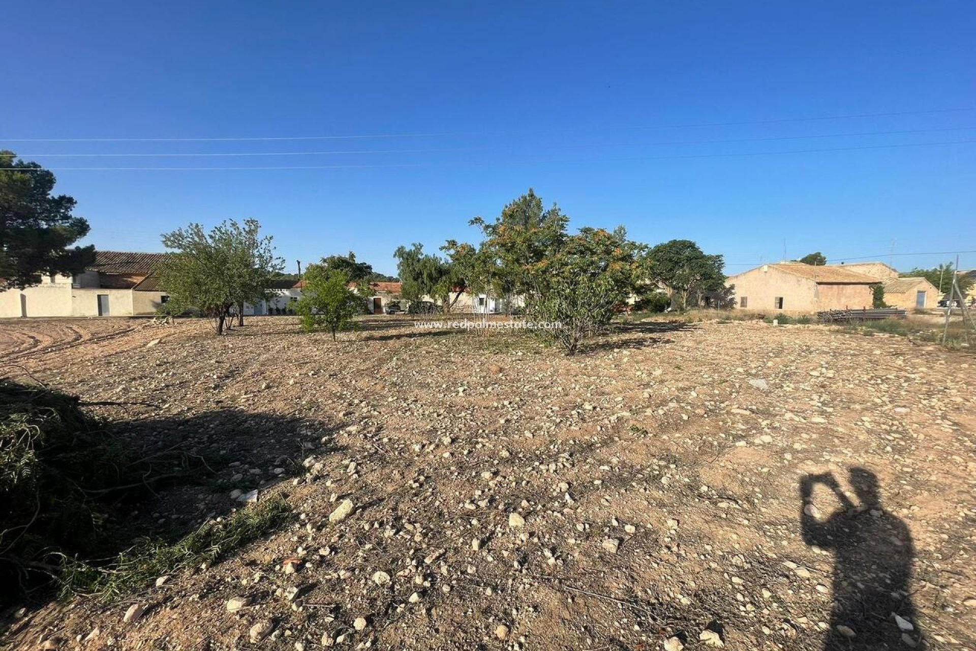 Revente - Parcelle -
Pinoso - Inland