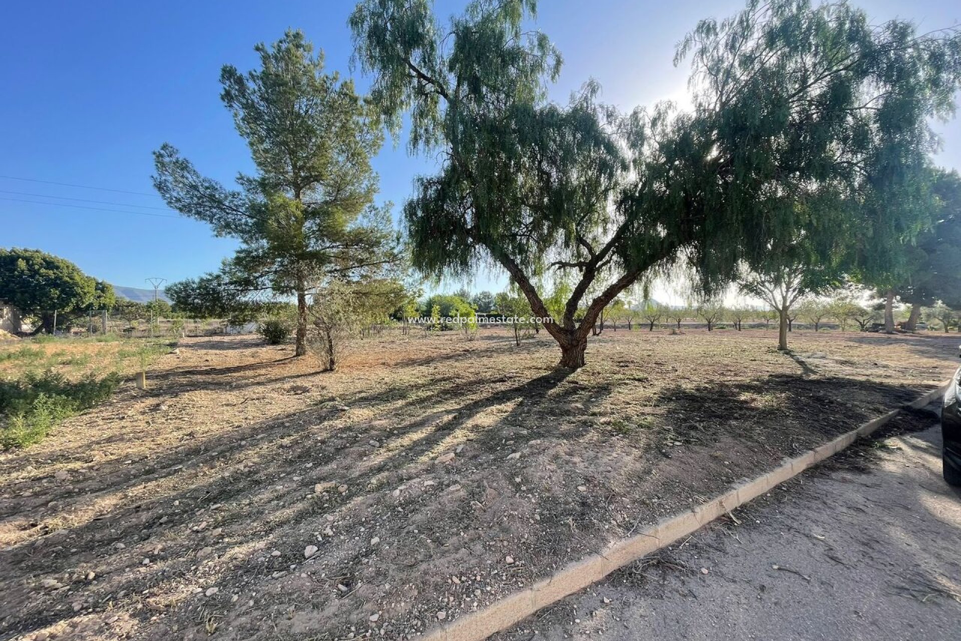 Revente - Parcelle -
Pinoso - Inland