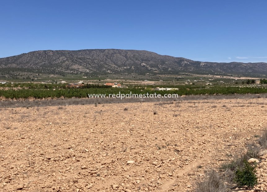 Revente - Parcelle -
Pinoso - Inland