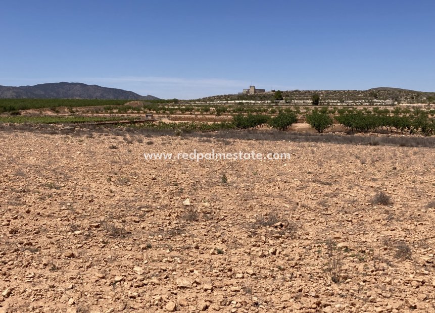 Revente - Parcelle -
Pinoso - Inland