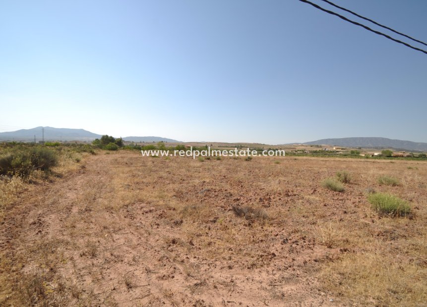 Revente - Parcelle -
Pinoso - Inland