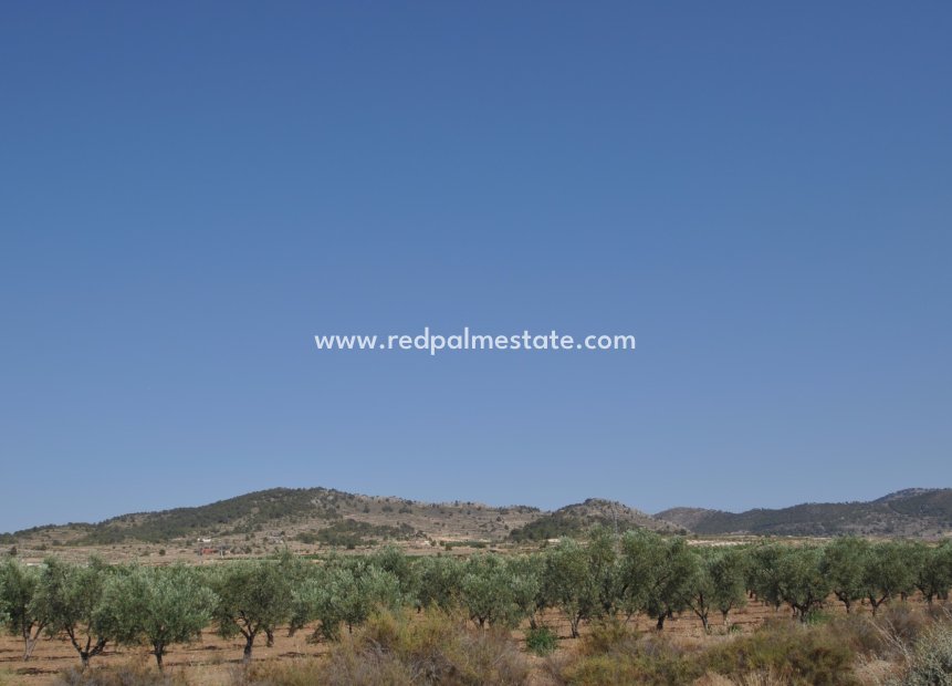 Revente - Parcelle -
Pinoso - Inland