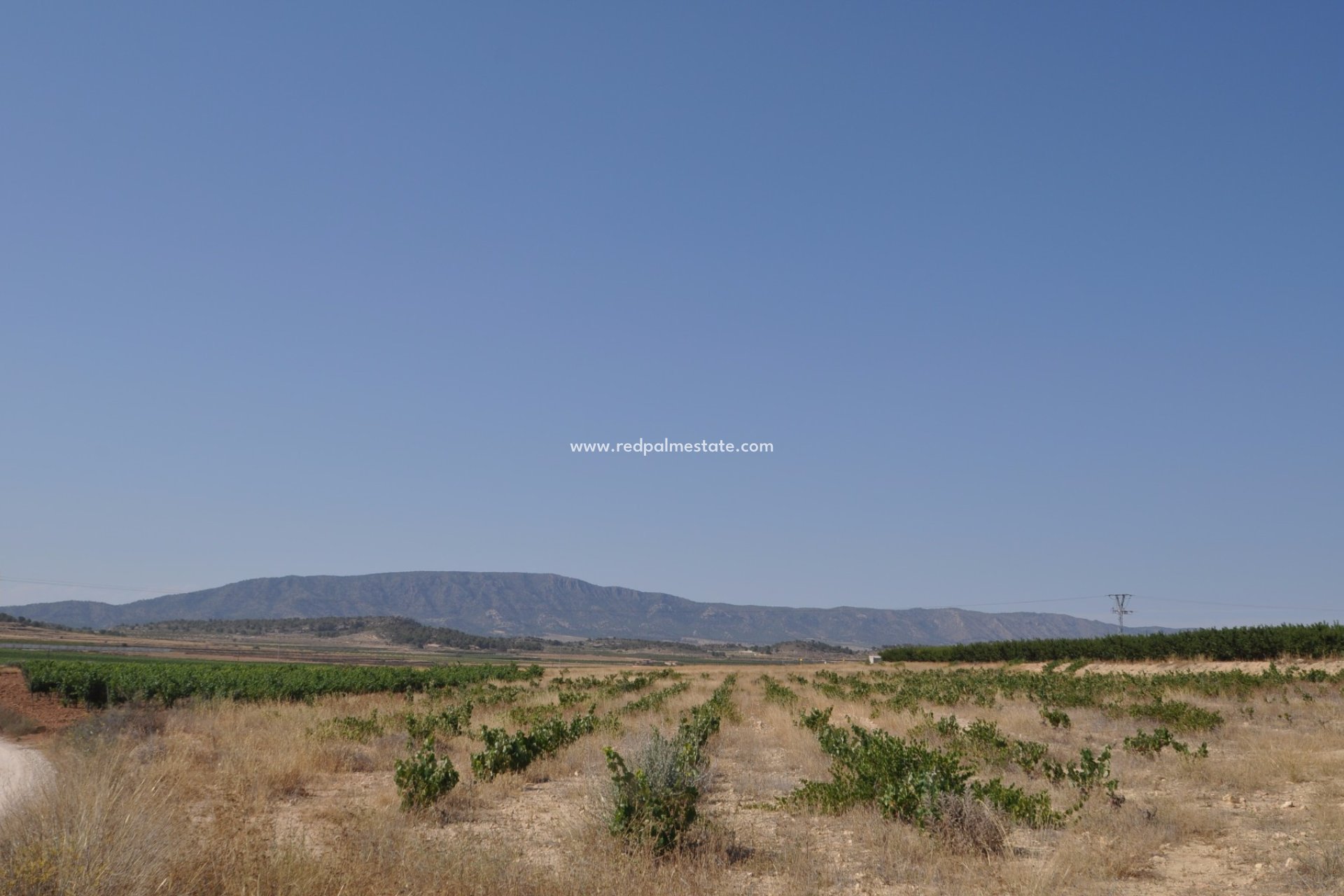 Revente - Parcelle -
Pinoso - Inland