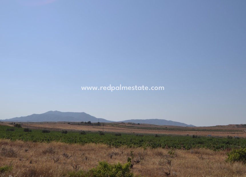 Revente - Parcelle -
Pinoso - Inland