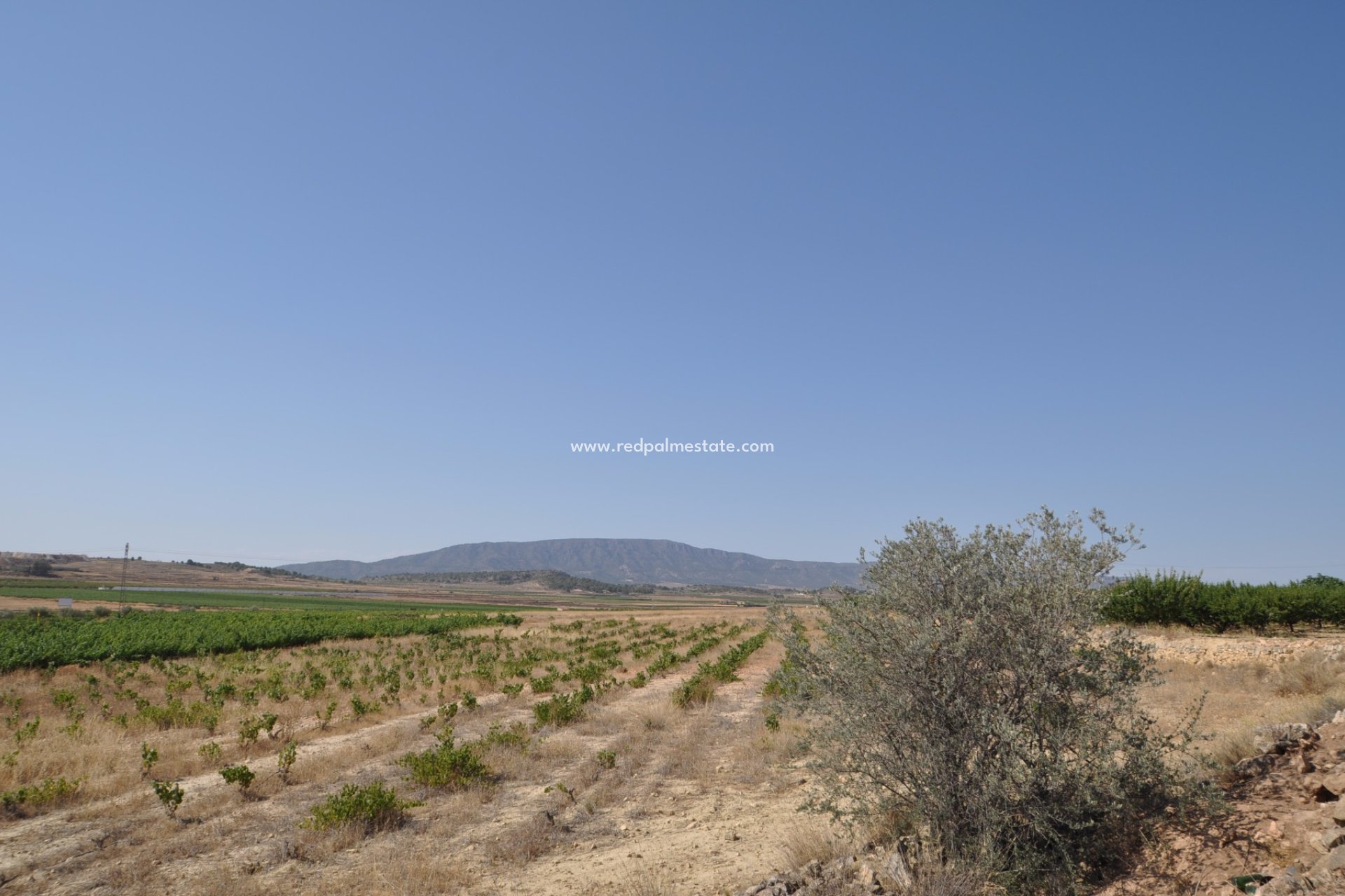 Revente - Parcelle -
Pinoso - Inland