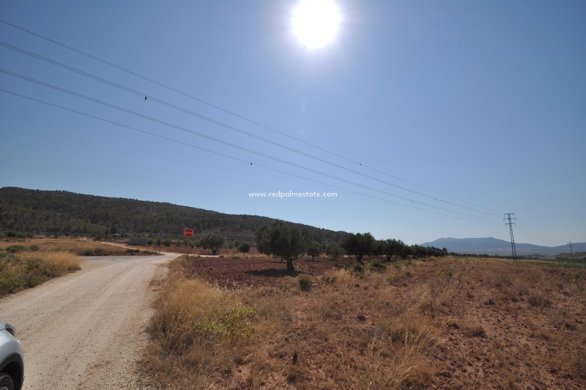 Revente - Parcelle -
Pinoso - Inland