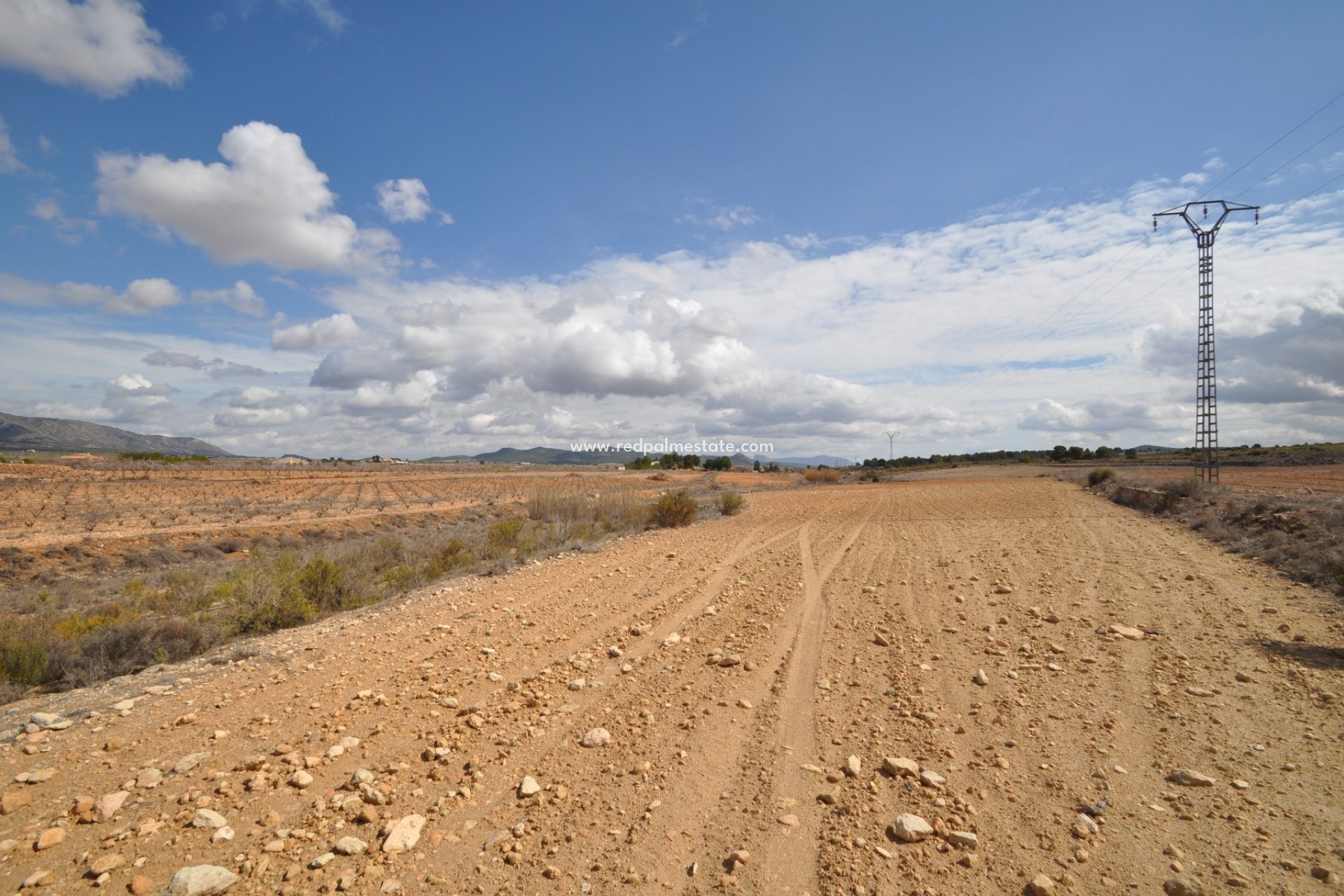 Revente - Parcelle -
Pinoso - Inland