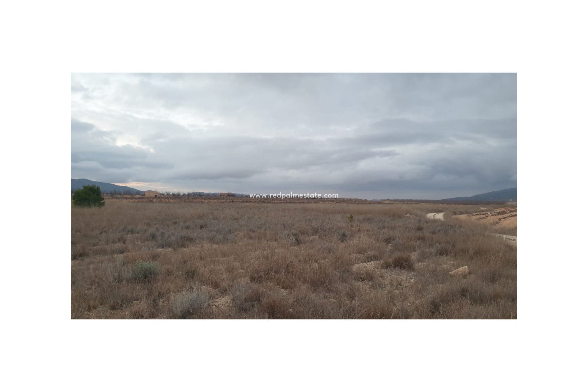 Revente - Parcelle -
Pinoso - Inland