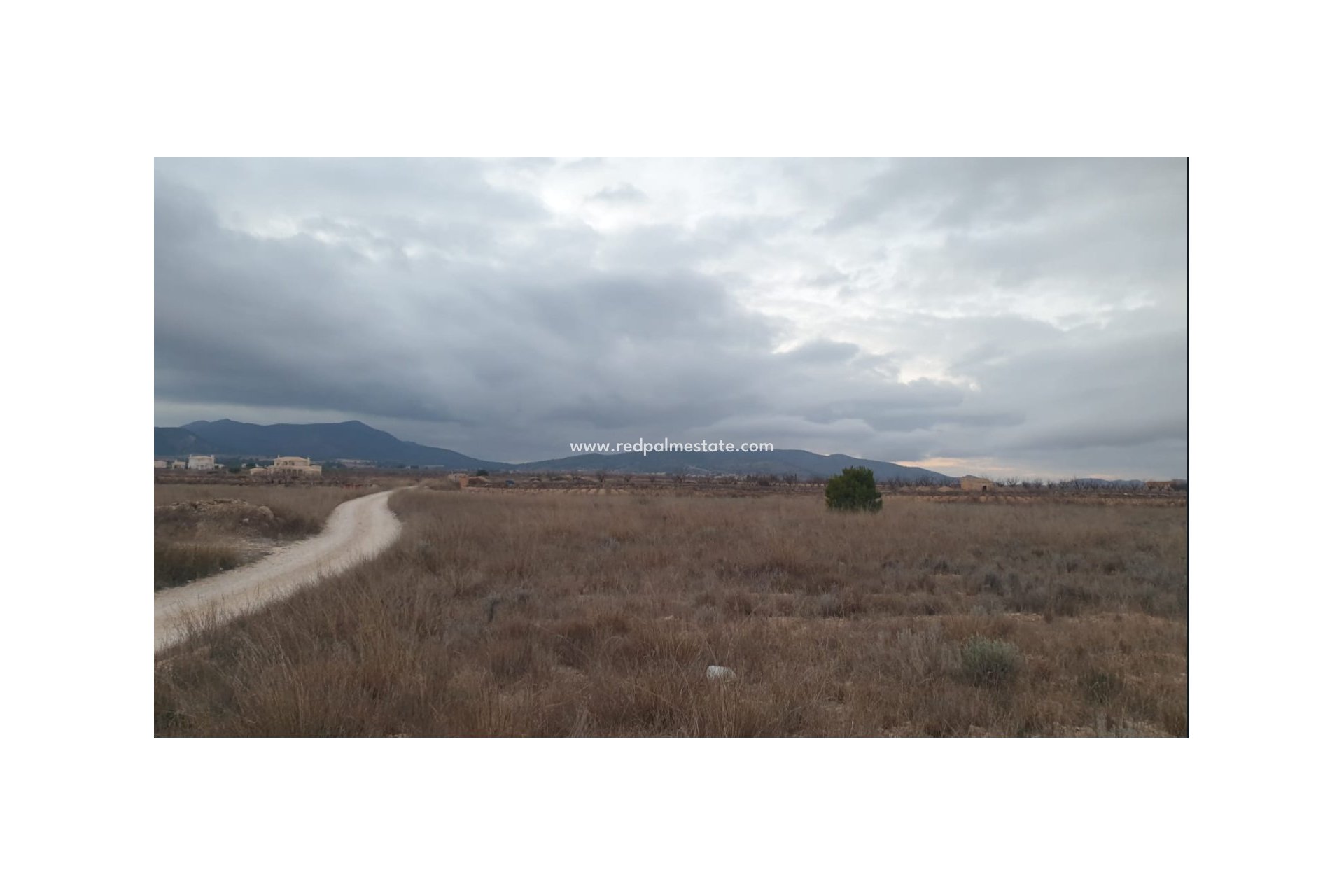 Revente - Parcelle -
Pinoso - Inland