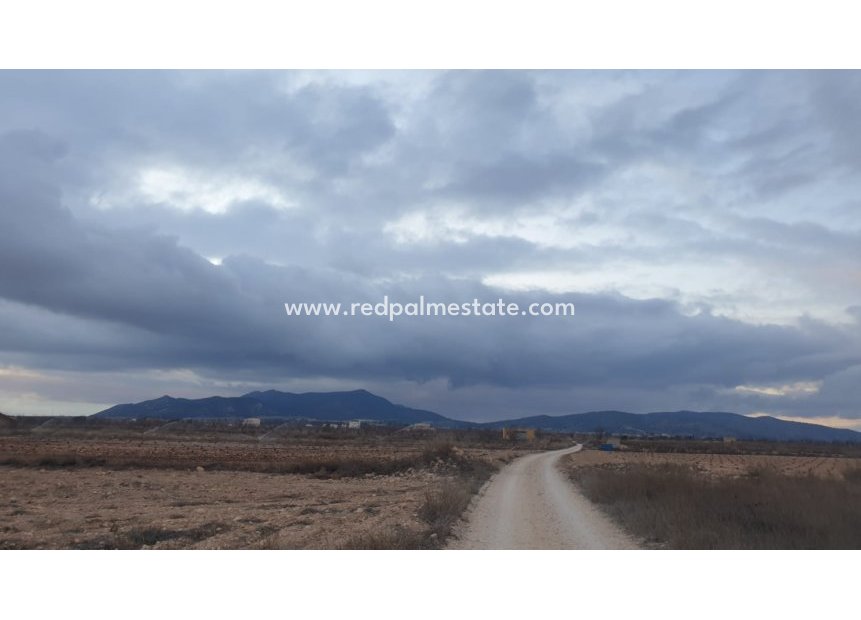 Revente - Parcelle -
Pinoso - Inland