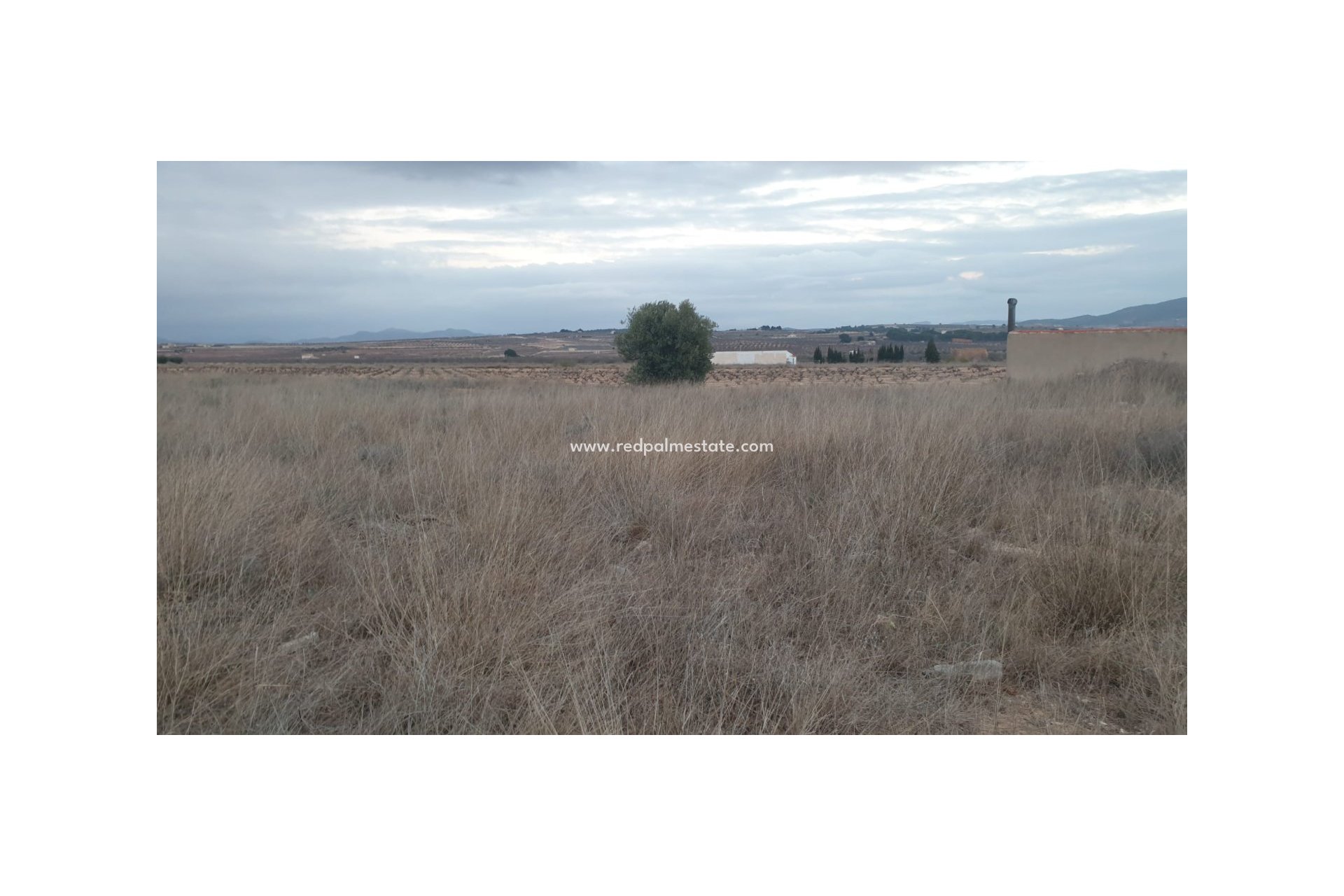 Revente - Parcelle -
Pinoso - Inland