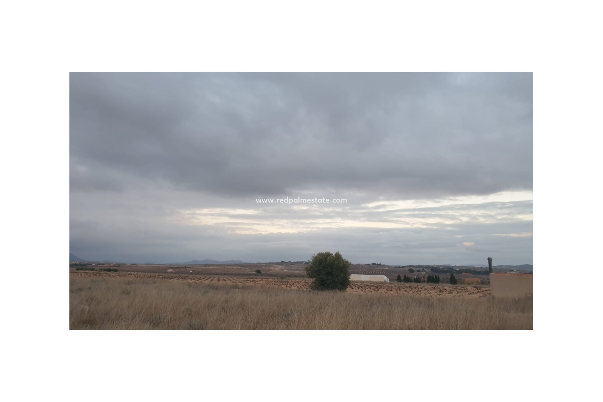 Revente - Parcelle -
Pinoso - Inland