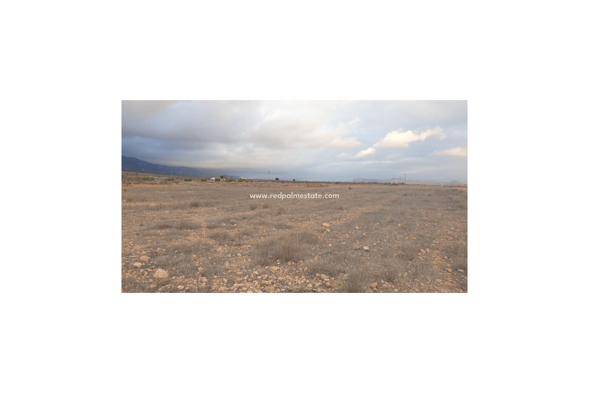 Revente - Parcelle -
Pinoso - Inland