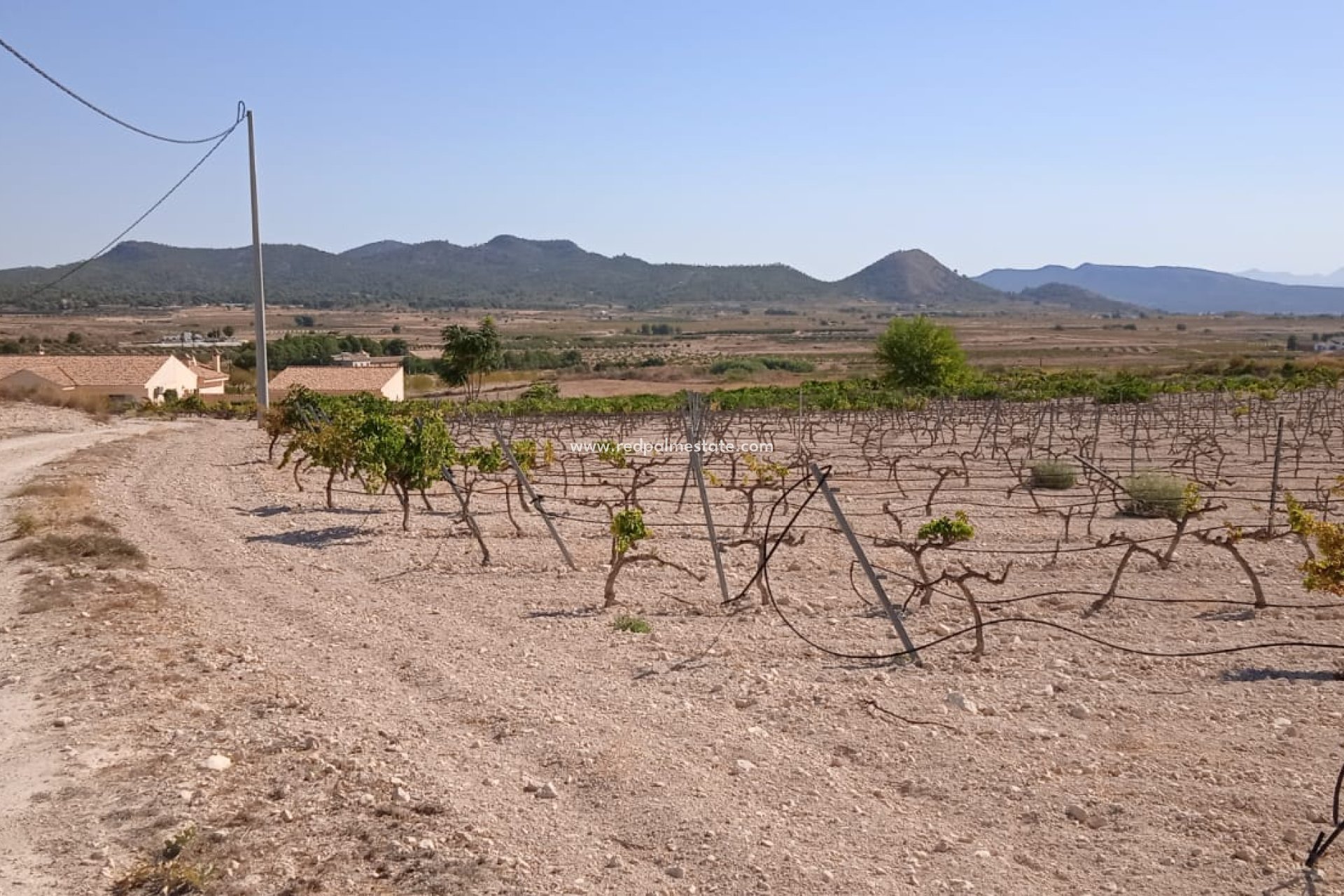 Revente - Parcelle -
Pinoso - Inland