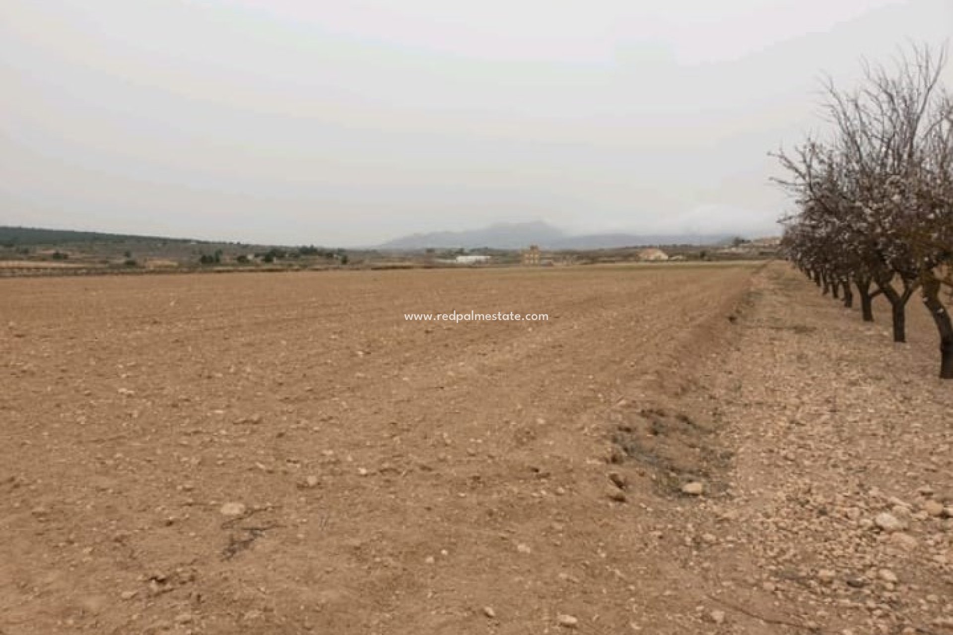 Revente - Parcelle -
Pinoso - Inland