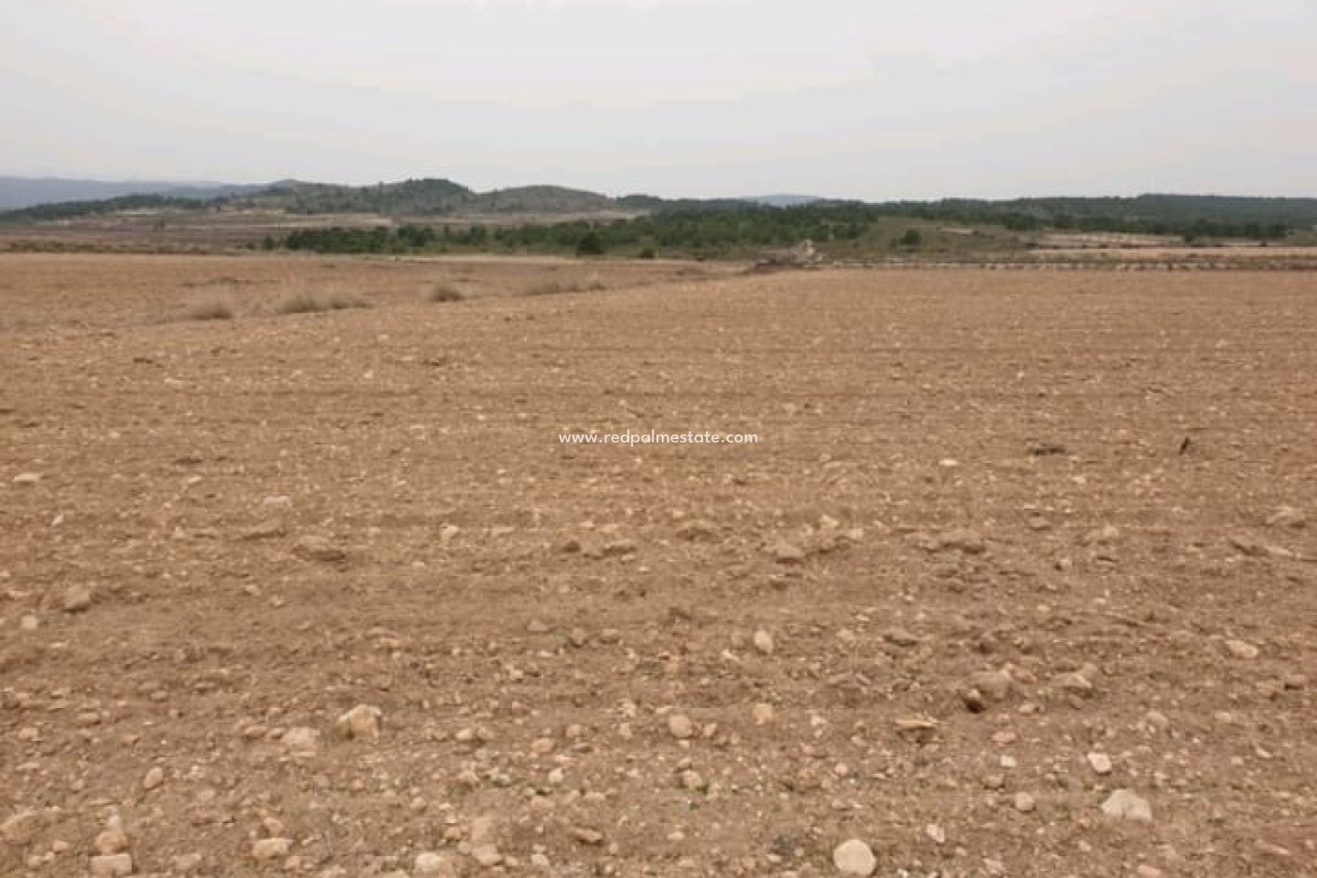 Revente - Parcelle -
Pinoso - Inland