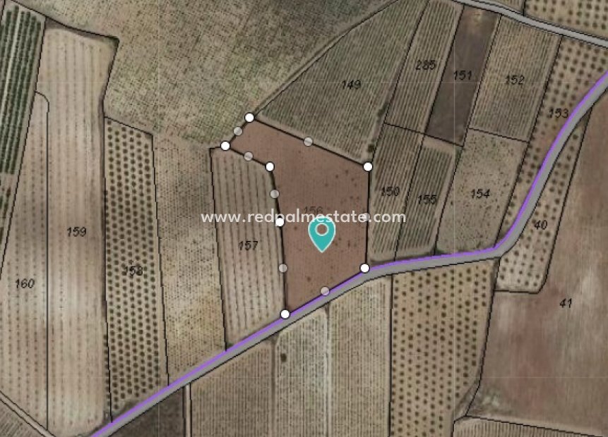 Revente - Parcelle -
Pinoso - Inland