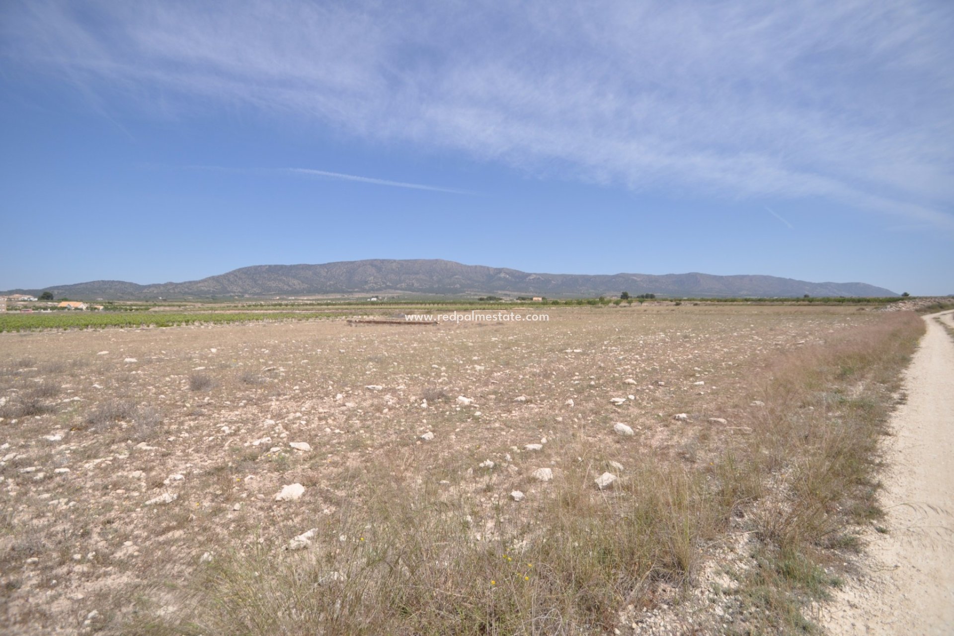 Revente - Parcelle -
Pinoso - Inland