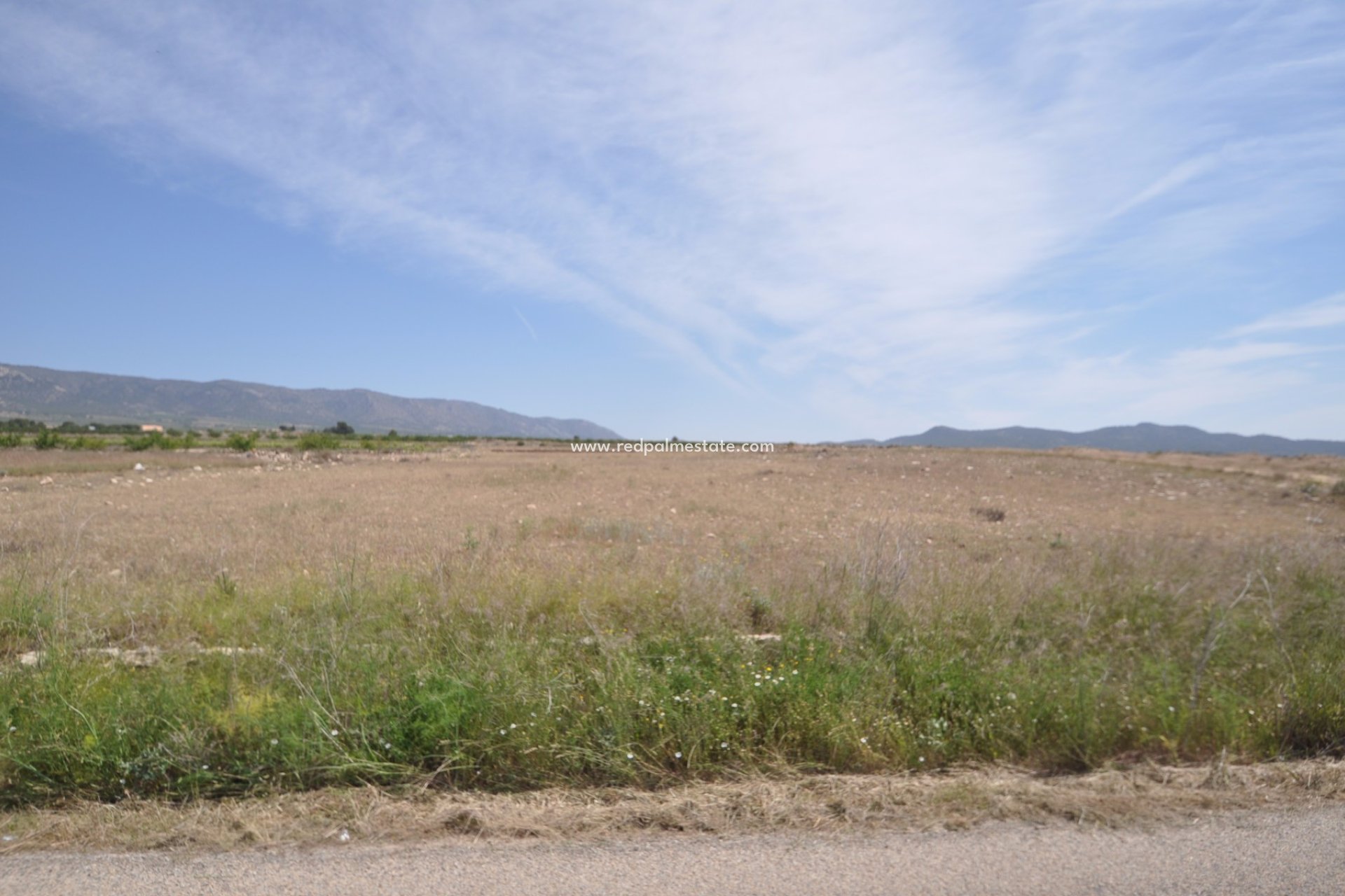 Revente - Parcelle -
Pinoso - Inland