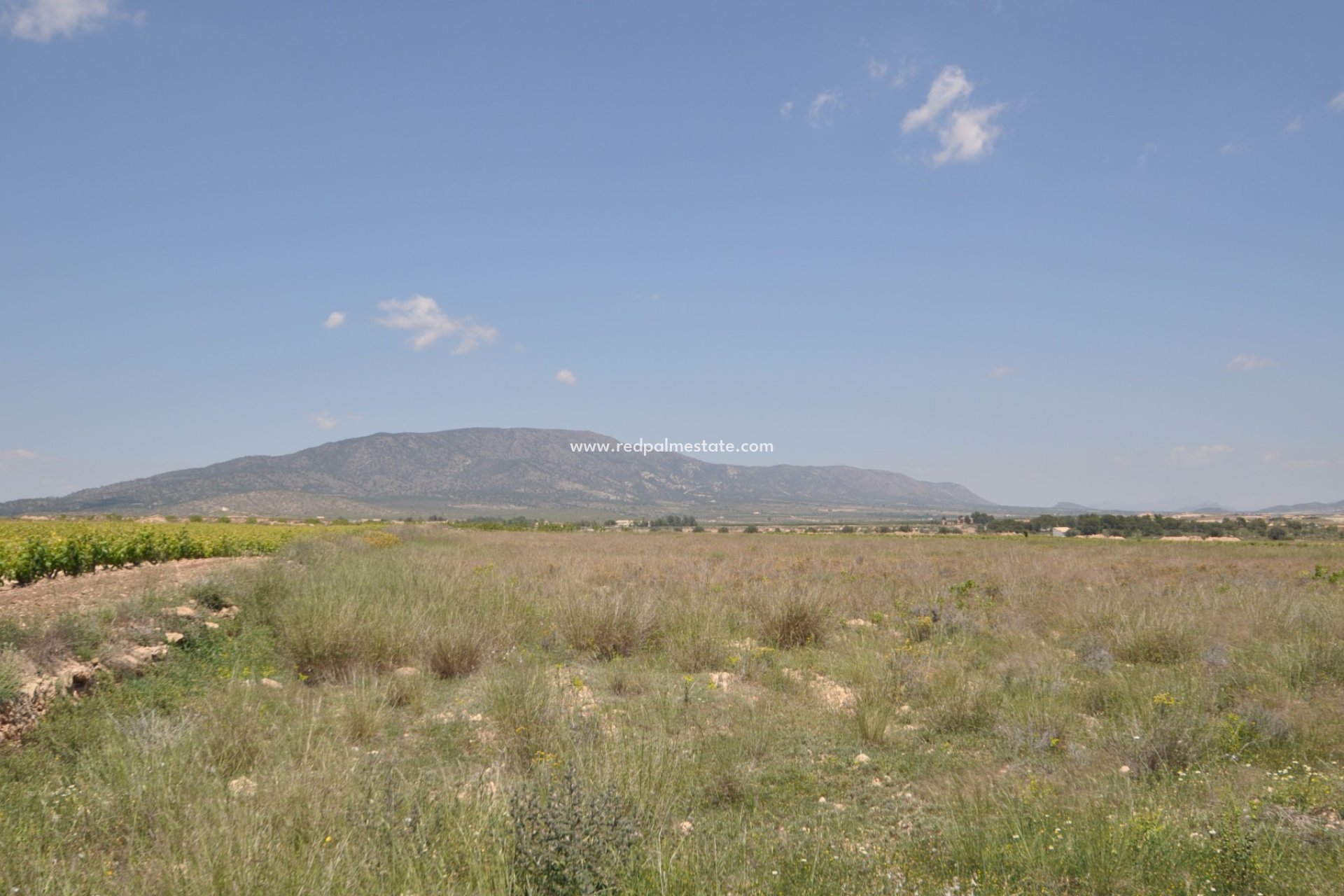 Revente - Parcelle -
Pinoso - Inland