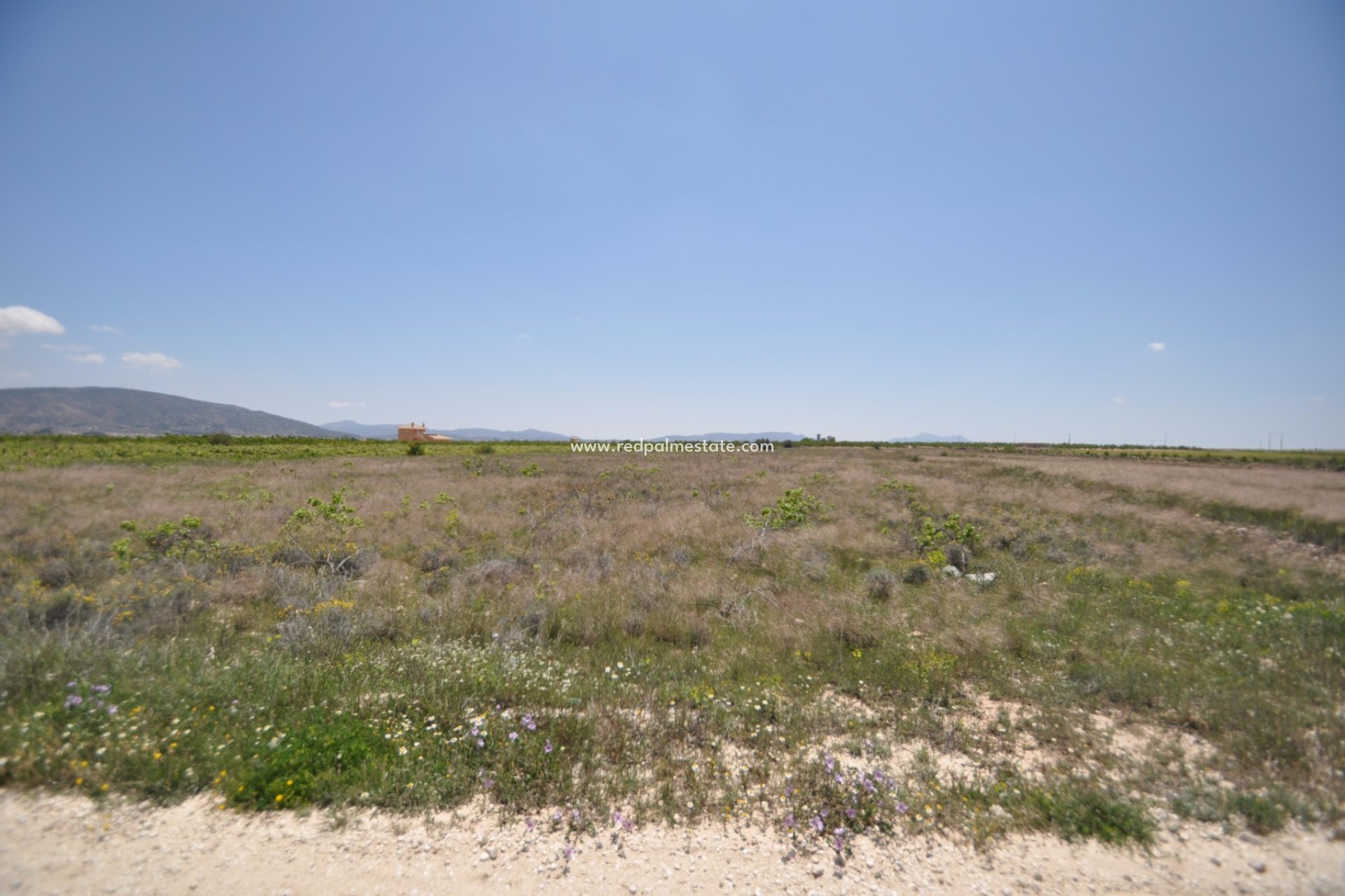 Revente - Parcelle -
Pinoso - Inland