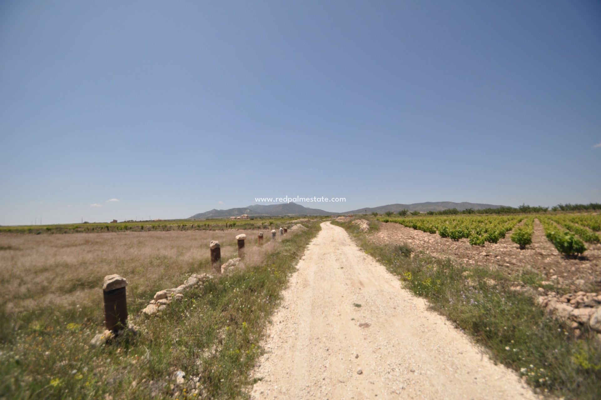 Revente - Parcelle -
Pinoso - Inland