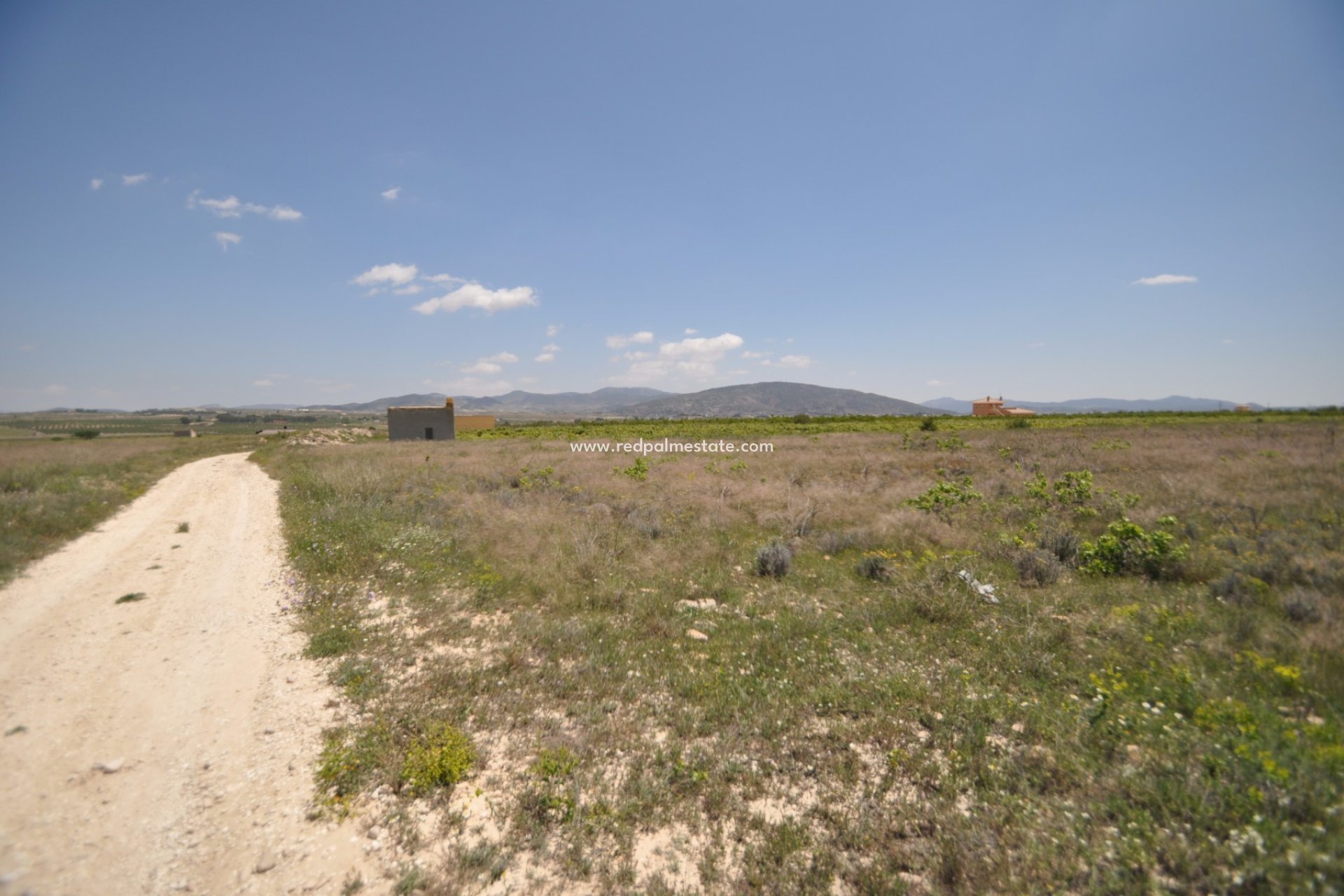 Revente - Parcelle -
Pinoso - Inland