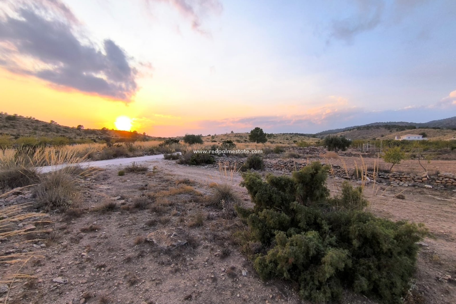 Revente - Parcelle -
Pinoso - Inland