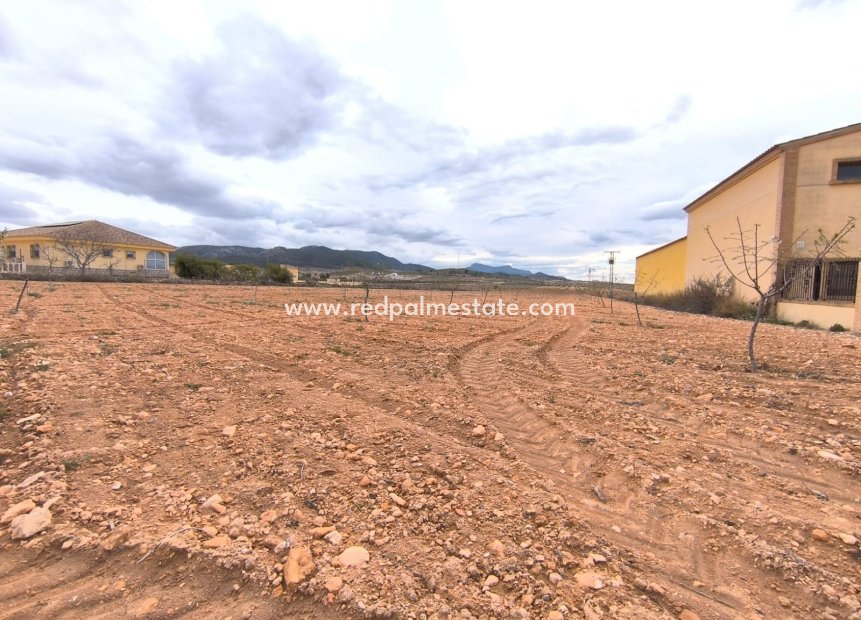 Revente - Parcelle -
Pinoso - Inland