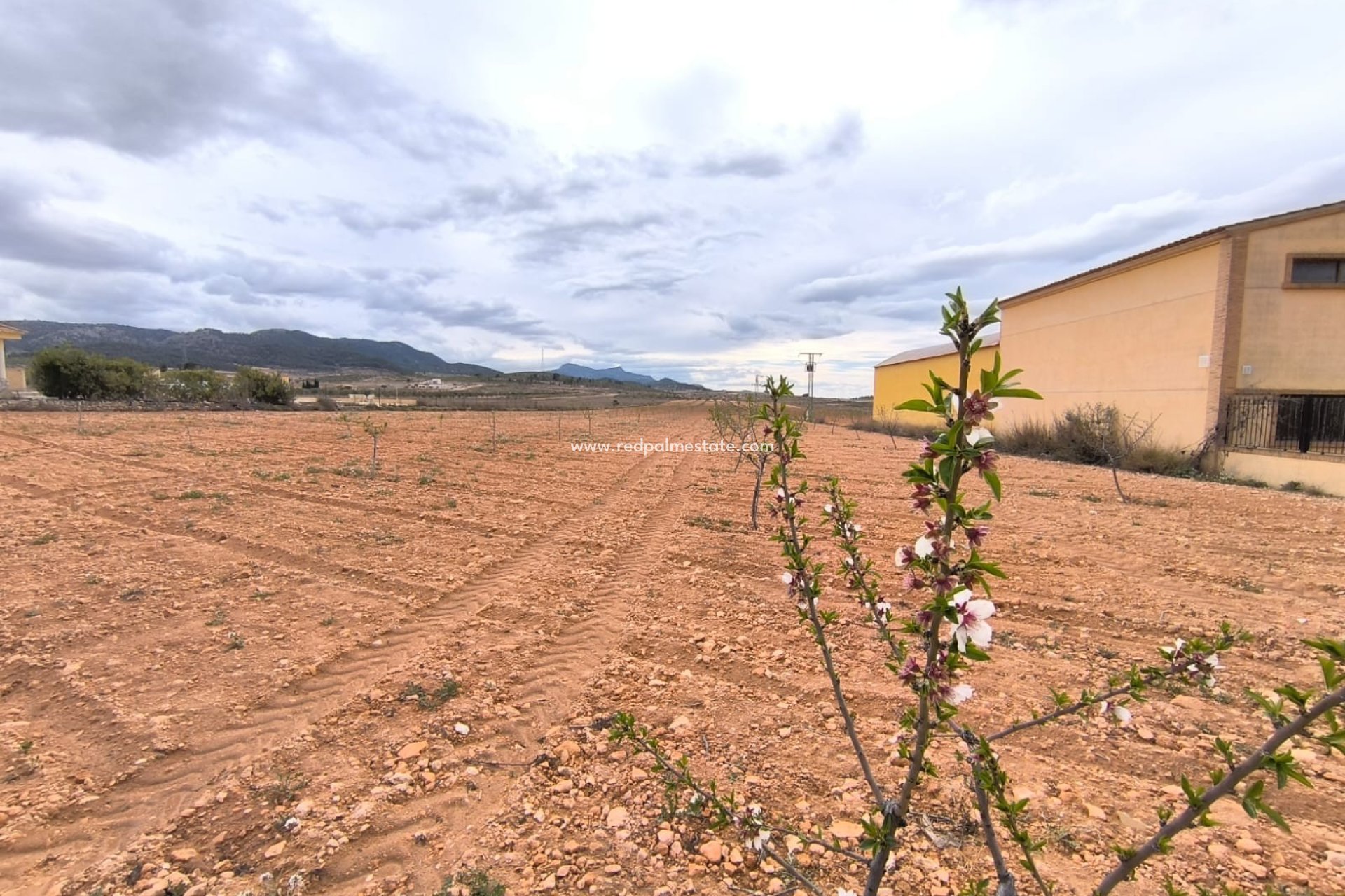 Revente - Parcelle -
Pinoso - Inland