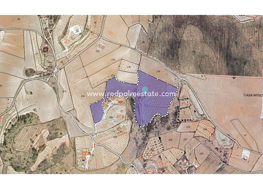 Revente - Parcelle -
Pinoso - Inland